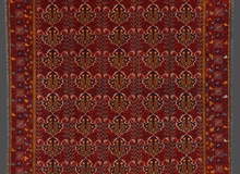 Afghan Khal Mohammadi